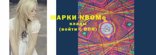 хмурый Аркадак