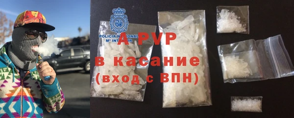 хмурый Аркадак