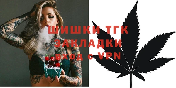 хмурый Аркадак