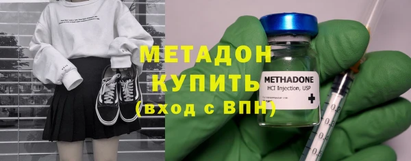 хмурый Аркадак