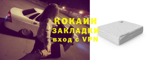 хмурый Аркадак