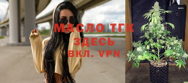 хмурый Аркадак