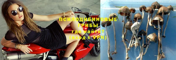стаф Армянск